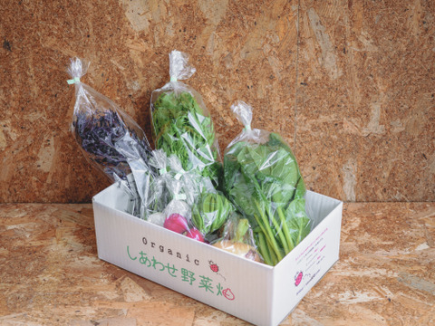 旬の有機野菜Sセット　しあわせ野菜畑（有機JAS）