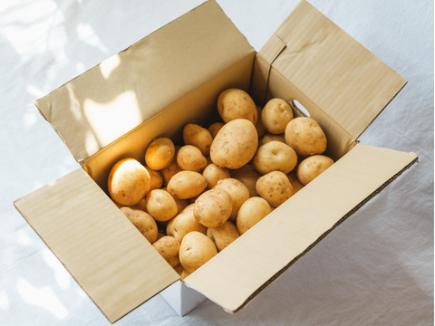 ほくほく甘い！屋久島の新じゃが〈ニシユタカ〉農家直送　5㎏