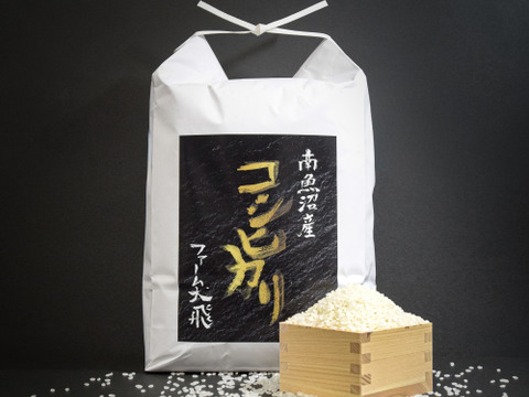 【R7年産新米】甘みと香りが広がる　南魚沼産コシヒカリ　5kg×2袋（玄米）