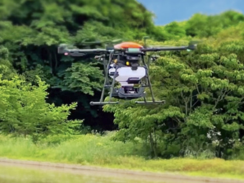 【令和７年新米】あきたこまち (幸穂) 真空パック10kg