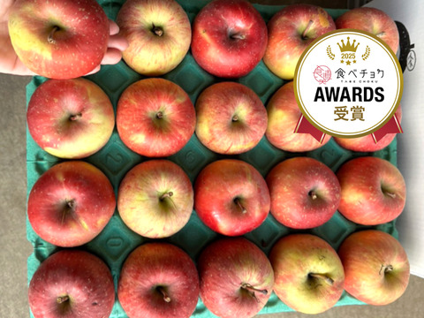 ★★新春セール★★🍎約１０キロ🍎レビュー数1900件突破！！葉とらずふじ【家庭用】２６玉～４３玉 青森りんご リンゴ 商品ID197581 大容量　訳あり