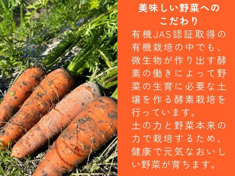 有機JAS認証取得『有機にんじんパウダー 50g』 野菜 パウダー オーガニック 農薬無散布 無添加 有機JAS認証取得