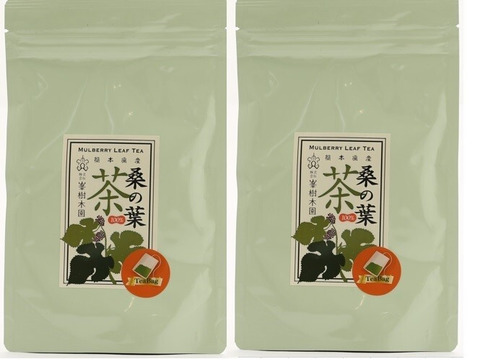樹木医が育てた飲みやすい桑の葉茶 農薬・化学肥料不使用 簡単便利！ティーパック3g×30P・2袋セット　【熊本県産】JGAP認証