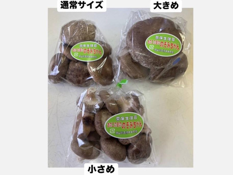 肉厚ジューシー★旬の【大玉しいたけ 180g×10パック】岡山県吉備中央町産