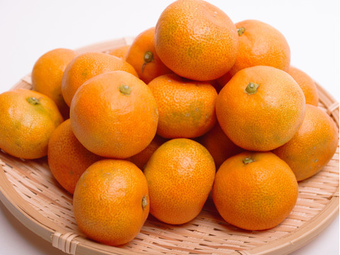 ハウスみかん 2kg〔わけあり・和歌山県産〕※北海道沖縄配送不可