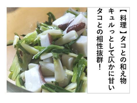 あさつき【キュルッと食感、ほっこりする甘さ】＜約800g＞