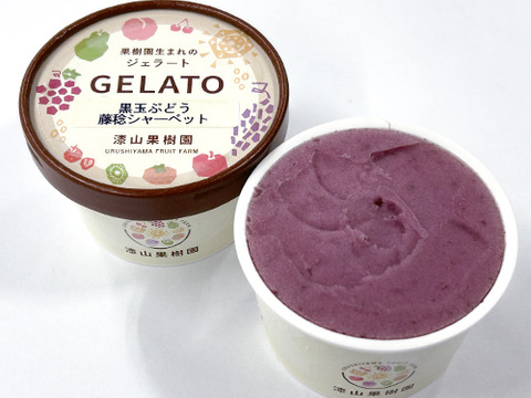 【ふるさとギフト大賞最高賞】ギフトに◎果樹園生まれの3種のぶどうジェラート