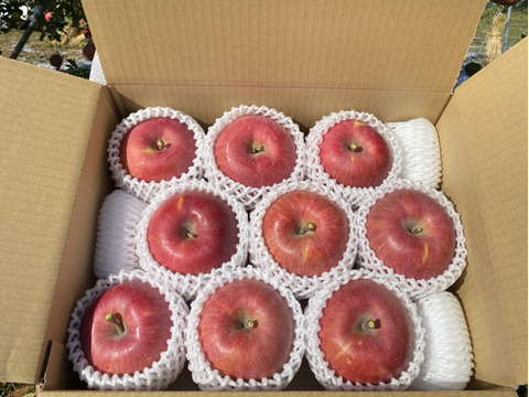 【予約】りんごの王様！サンふじ『信州りんご』６kg（３kg×２箱）