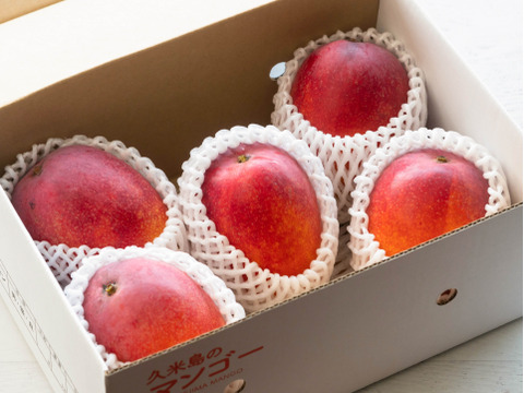 【7月発送／お中元・贈答用熨斗対応可】久米島の土と太陽が育てた完熟マンゴー：2㎏（4~5玉）