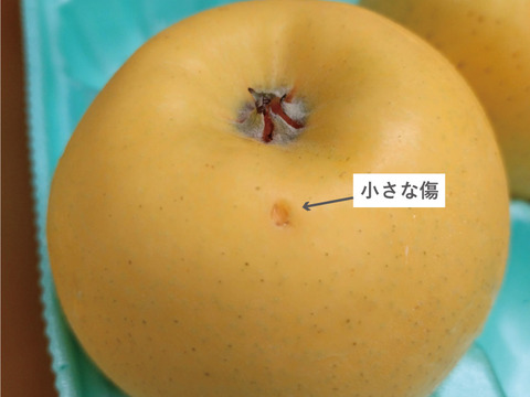 パリッと甘酸っぱい シナノゴールド5kg箱(20玉)