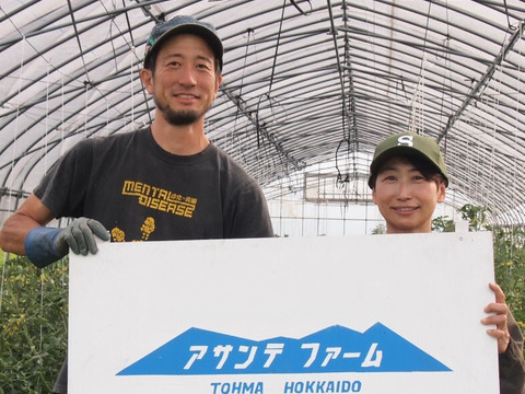 【朝採れ】【厳選品種】北海道産・有機カラフルミニトマト 1kg