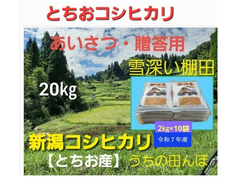 【２月セール】自然栽培「豊コシヒカリ」精米　２０ｋｇ 年始5％OFF！】【令和6年産】自然栽培「豊コシヒカリ」精米