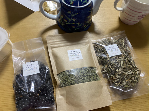 【北海道産】和のお茶3点セット！希少な黒千石茶・ヨモギ茶・スギナ茶