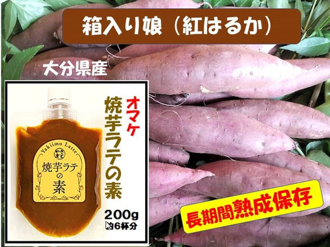 さつまいも（紅はるか）長期間地下室熟成で甘い 大分県産　Sサイズ４．５ｋｇ　焼芋ラテの素オマケ付き