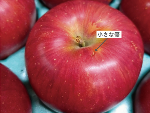 サクサク甘い シナノスイート5kg箱(13玉～20玉)