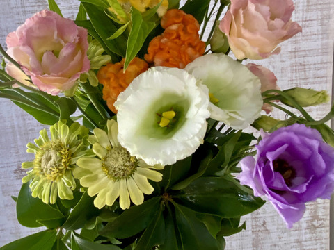 【仏花（メモリアルフラワー）お任せ】トルコキキョウ！季節の旬の花の仏花（シキビあり）お届け先対応可能！