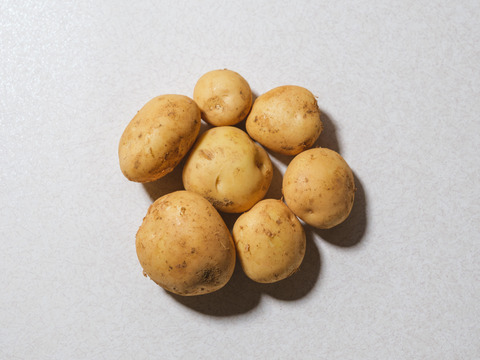 ほくほく甘い！屋久島の新じゃが〈ニシユタカ〉農家直送　5㎏