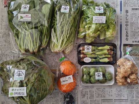 定期便設定（お届け日は２～３日前後します）【たっぷりいろいろ　２０００円セット】農家人が選ぶ旬野菜のおまかせセットです。季節ごとの旬の世界農業遺産ブランド野菜を厳選してお届け致します。