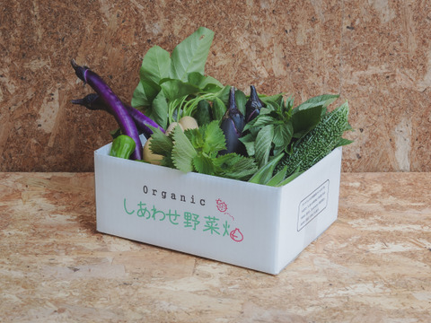【規格外増量】オーガニック野菜「シェフＭセット」しあわせ野菜畑