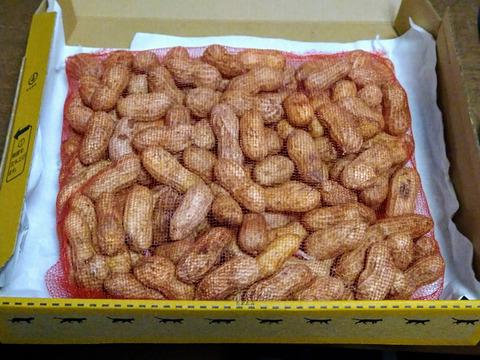 家で炒るから美味しい　味噌󠄀ピーナッツも美味　自然乾燥した生落花生400g(令和6年産)　
　農薬不使用、化学肥料も動物由来の肥料も不使用　小粒だけどゆっくり育ったおいしい落花生をどうぞ