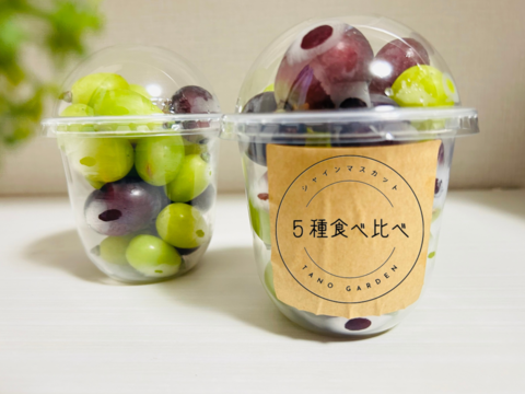シャインマスカットと4種のぶどう食べ比べセット（250g×4P