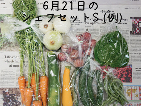 【フードロス　簡易包装　規格外】オーガニック野菜「シェフLセット」しあわせ野菜畑