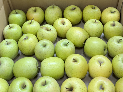 【極小玉・バラ詰め】王林🍏家庭用約4.5Kg🍏毎日りんご　コスパ抜群　青森県産　数量限定