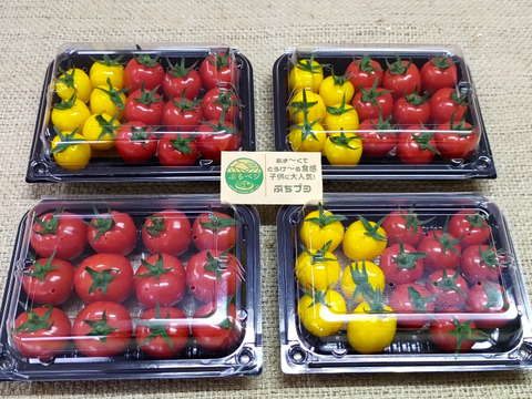 ７月上旬までの限定販売！とろ～り♪とろける食感🍅プチぷよ赤色ONRY！約１９０g×４ｐ