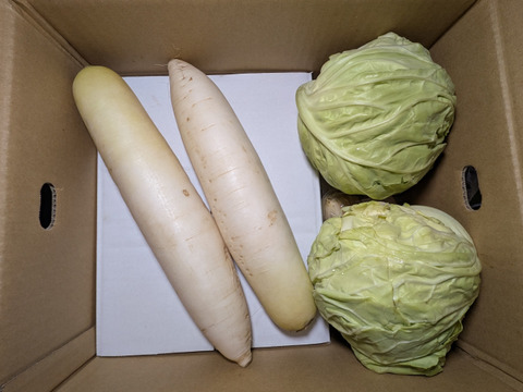 野菜と果物セット