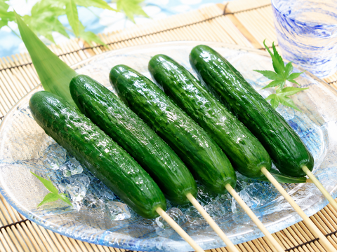 【朝どれ】【７/11〜予約順に発送】『新鮮でみずみずしい朝どれのキュウリ』採れたてを全国発送でも朝どれ鮮度のキュウリ