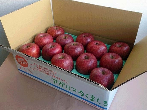 今でもパリパリ！！リンゴの王様『サンふじ』ご家庭用秀品約３kg　スマートフレッシュでもぎたて鮮度そのまま！