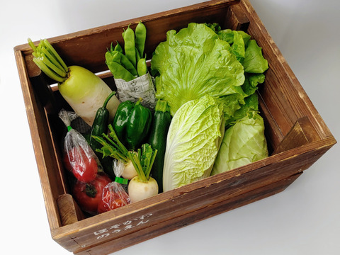 八ヶ岳高原から直送!旬の野菜セット8品目以上　100サイズ　トマトピューレ１瓶
