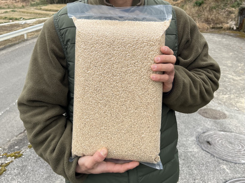 【R7年産】生活排水なしの一番水　自然栽培窪野米イセヒカリ18㎏【精米】