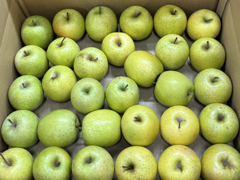 【極小玉・バラ詰め】王林🍏家庭用約4.5Kg🍏毎日りんご　コスパ抜群　青森県産　数量限定