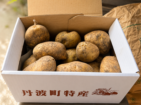 京丹波町産じゃがいも「キタアカリ」3kg
