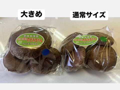 肉厚ジューシー★旬の【大玉しいたけ 180g×10パック】岡山県吉備中央町産