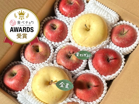 【アワード受賞福袋】🍎葉とらずふじ⭐️金星（９～１１玉）約３キロ箱 ID179783