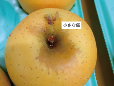 パリッと甘酸っぱい シナノゴールド5kg箱(20玉)