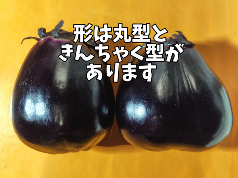 なす なすのヘタチップス | Upcycle by Oisix