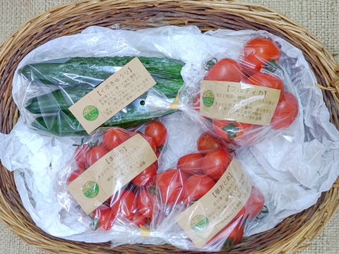 初めてご注文のお客様へ【初回限定】ぶるベジトマトのお試し！旬🍅の詰合せ♪（トマト３品種（大玉トマト抜き）＋朝モギきゅうり）