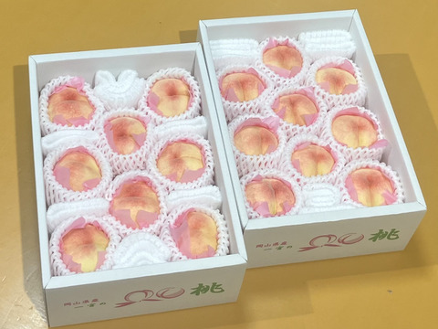 🍑🍑おかやまの白桃　小箱【4〜10個】【2箱セット】【ご自宅用】