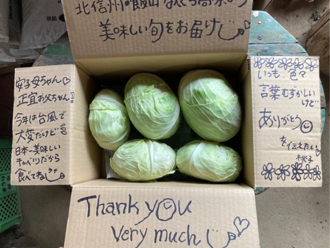ひぐらし農場のイチオシ野菜！柔らかくあまーいキャベツ！80サイズに入るだけ!（5kg以内、4玉前後）【なべくら高原産】