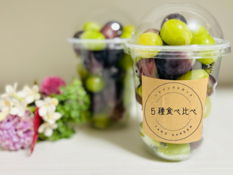 ぶどう詰め合わせ『シャインマスカット』350g×4p