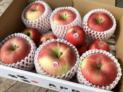 【数量限定】超Oh!玉 訳ありご家庭用りんご 大小2種類詰合せ3kg 食べ比べが楽しいセット🎁