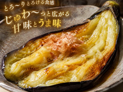 【朝どれ】【７/11〜予約順に発送】『新鮮でみずみずしい朝どれのナス』採れたてを全国発送でも朝どれ鮮度のナス