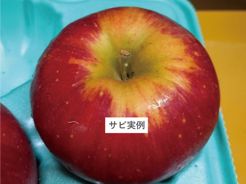 サクサク甘い シナノスイート5kg箱(13玉～20玉)