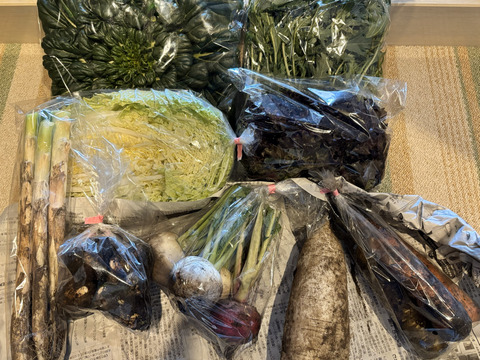 新鮮おいしい！旬のお野菜詰め合わせ８～９種