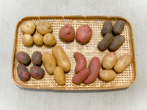 7月20日以降発送【有機JAS】7種の彩りジャガイモ 食べ比べセット 約3㎏(解説＆簡単レシピ付)