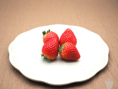 あま〜い♡がギュッとつまった新品種『とちあいか』3箱12パック(1箱で満足1,4kg以上)