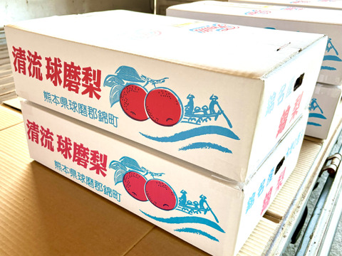 昨年大好評！『清流球磨梨』あきづき　約10kg【5kg箱(5〜14個入り)を2箱重ねてお届け】